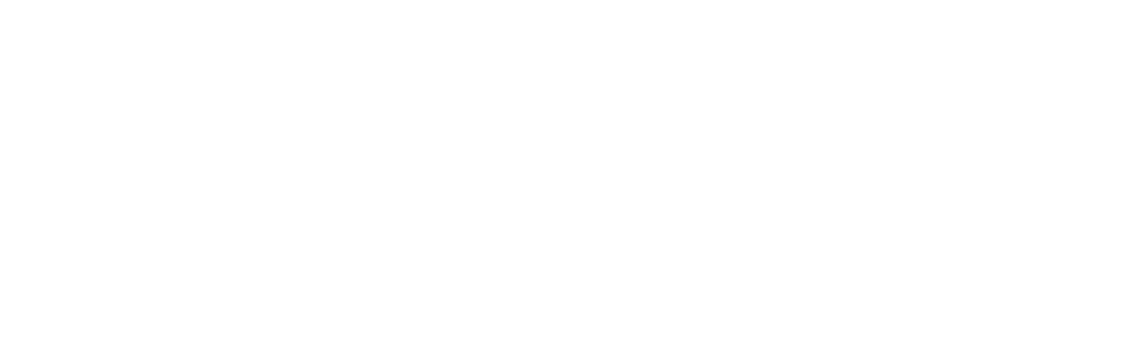 Logo Sarah Leona